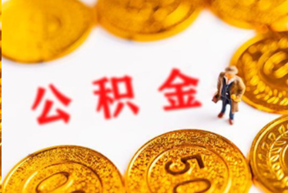 徐汇在职公积金提取条件
